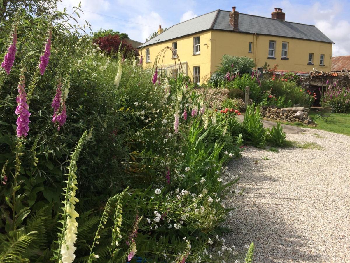 Frizenham Farmhouse Little Torrington Luaran gambar