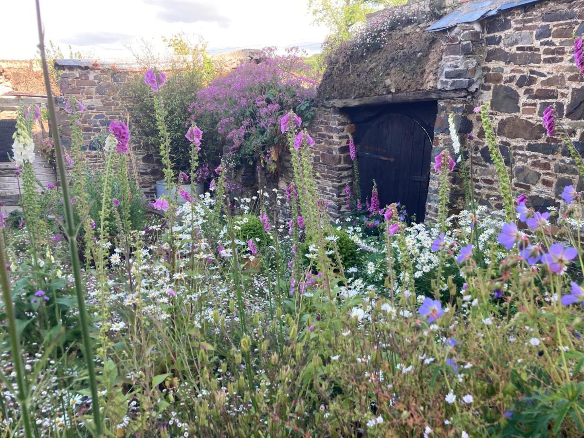 Frizenham Farmhouse Little Torrington Luaran gambar