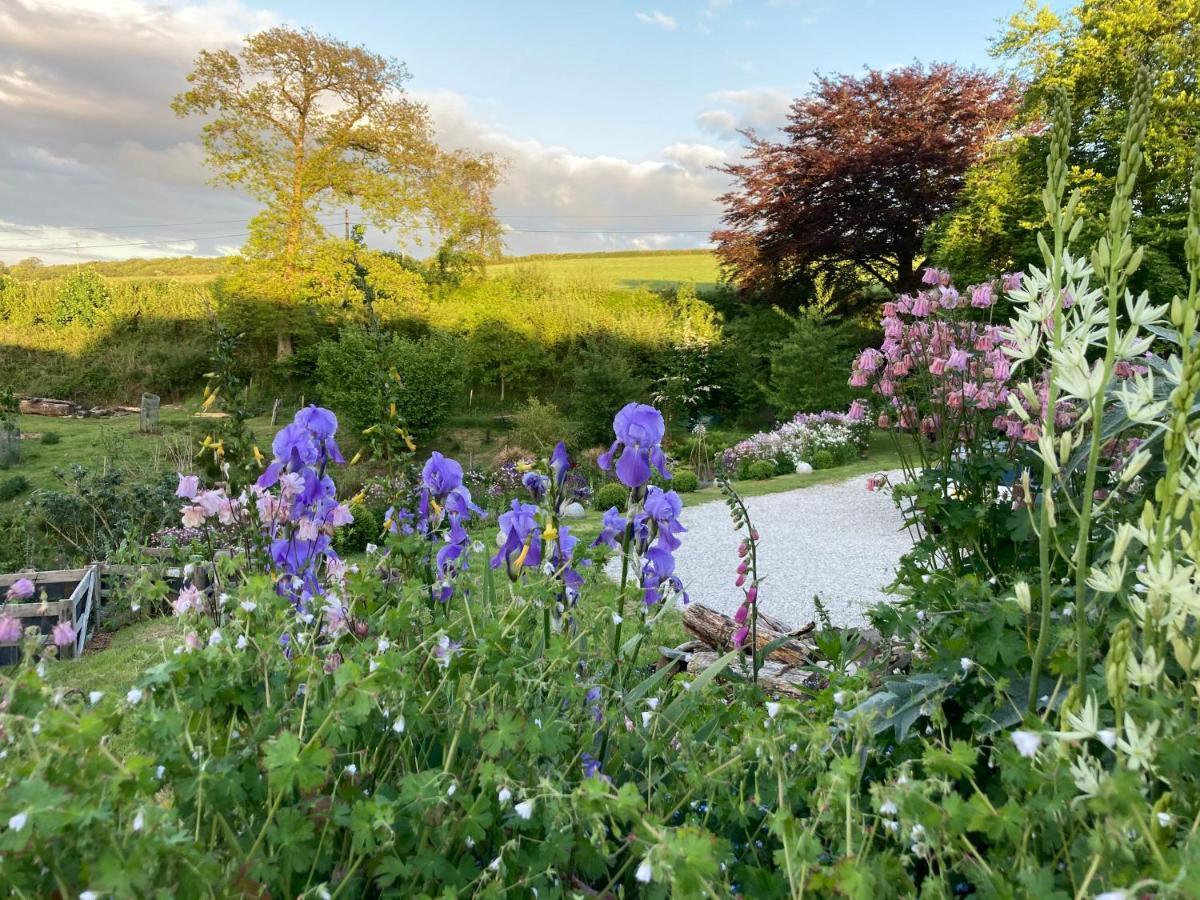 Frizenham Farmhouse Little Torrington Luaran gambar